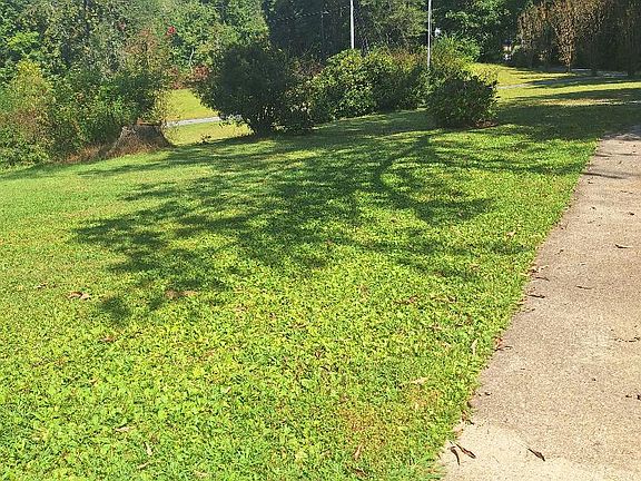 Front walk & yard