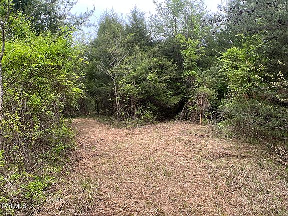5th image of 3050 Shackleford Rd