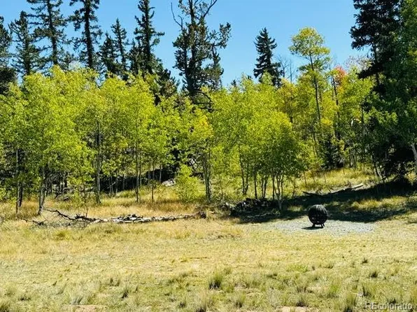202 Bob White Circle, Como, CO 80432