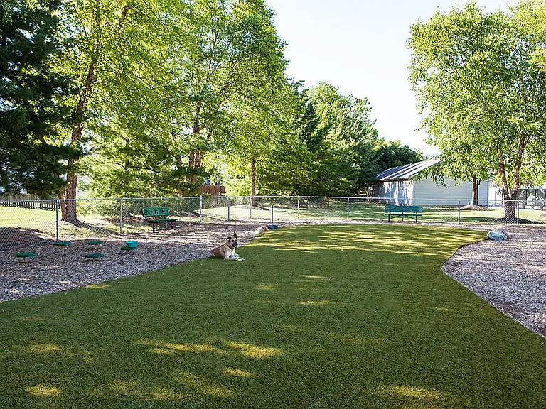 Lake Ridge — Photo 19