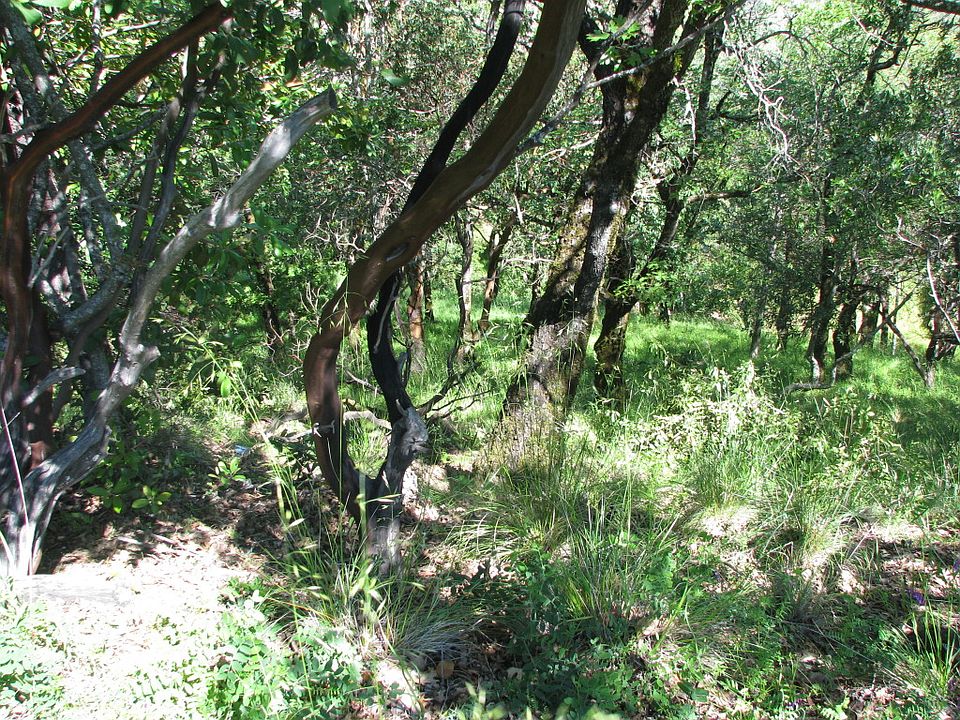2nd image of Lot 147 On Sunny Hill Ln #147
