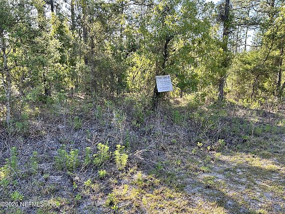 2nd image of LOT 20 SW BUENA VISTA Road