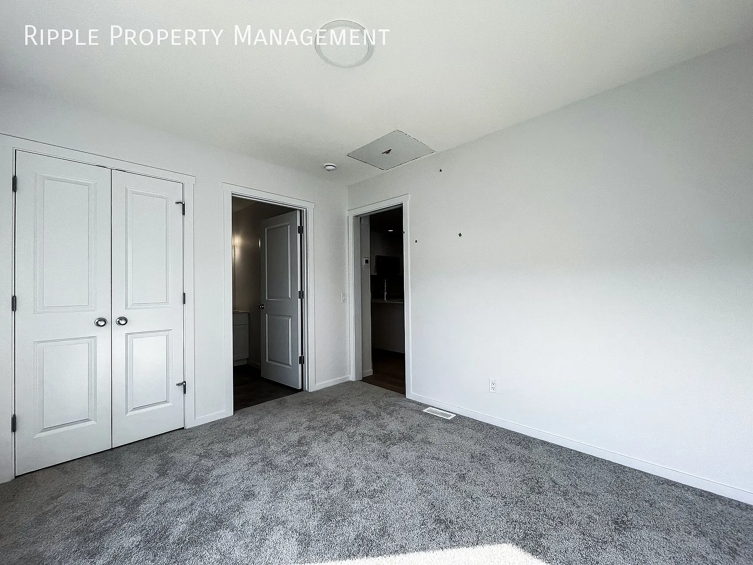 Amazing 1 Bed Basement Suite | Modern Living In The Orchards — Photo 3