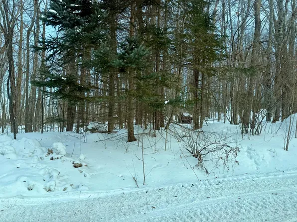 0 Jones Ave, Wabeno, WI 54566