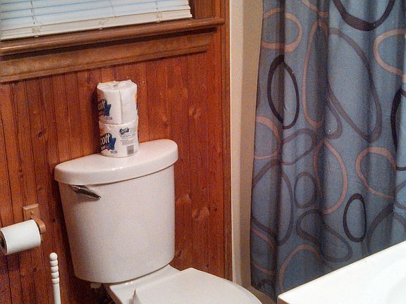 3rd image of 65 River Bend Ln