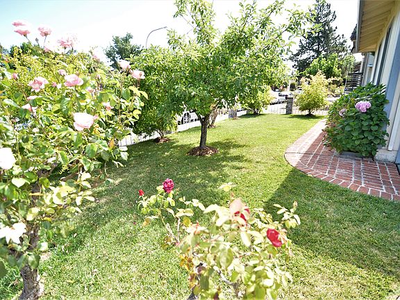Front Yard