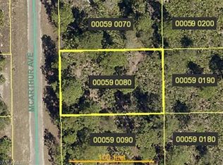 2010 McArthur Ave, Alva, FL 33920