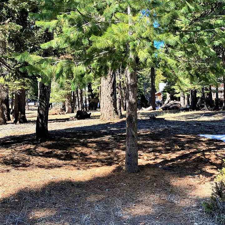 2nd image of 1145 Lake Ridge Rd