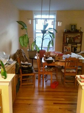 1st image of 3395 Nostrand Ave APT 4B