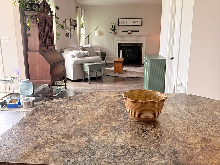 217 Berkshire Dr — Photo 4