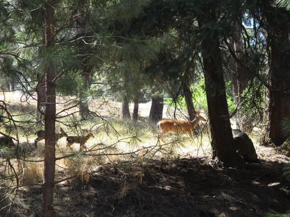 930 Wild Plum Dr, Klamath Falls, OR 97601