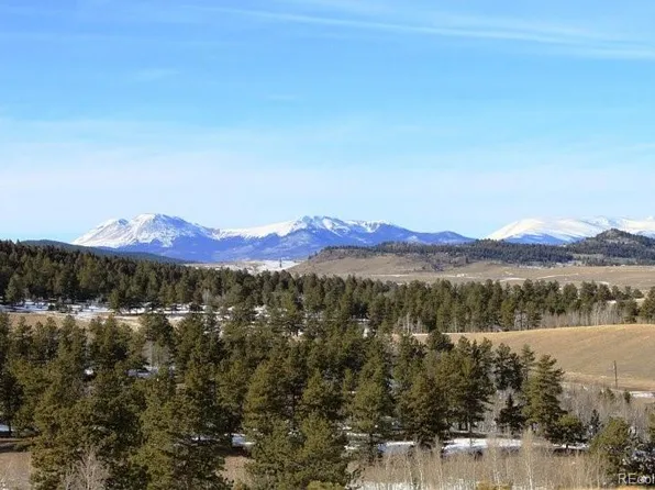 1300 Brahma Circle LOT 937, Hartsel, CO 80449