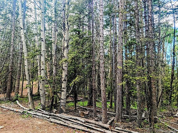 20th image of 8.5 Acres Phillips Road