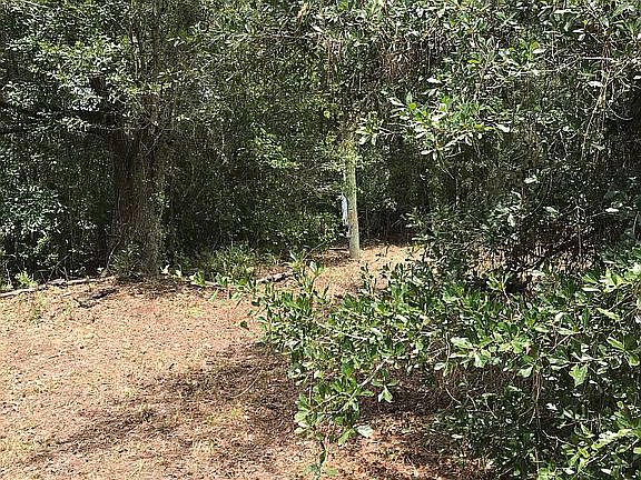 5th image of 1278 NW Eucalyptus Ave