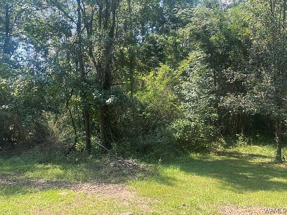 2nd image of 15319 Highway 140