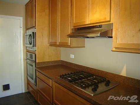 Convection oven!