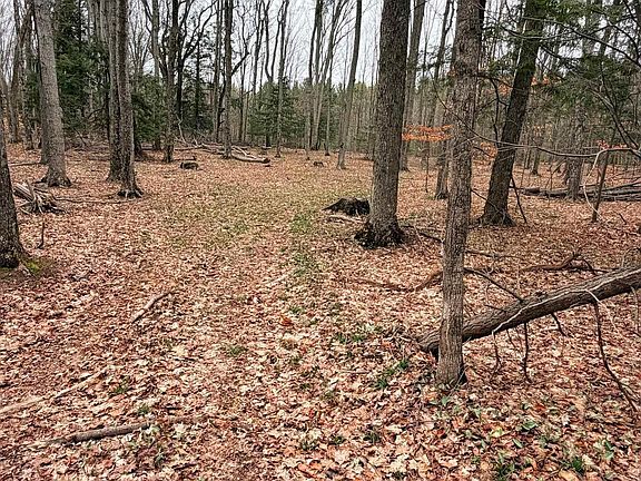 5th image of 3 Woodland Trl #3