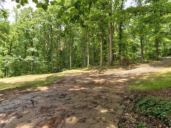3rd image of LOT 10 Grace Ln
