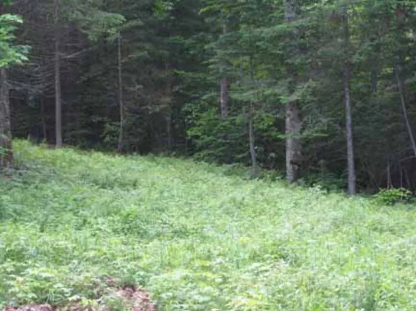 48 Ledgerock Ln, Lake Placid, NY 12946