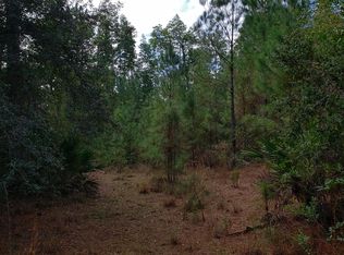 10 Serenity Farms Rd, Woodbine, GA 31569