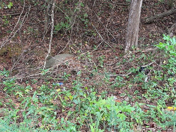 5th image of 0 County Road 44 Rd