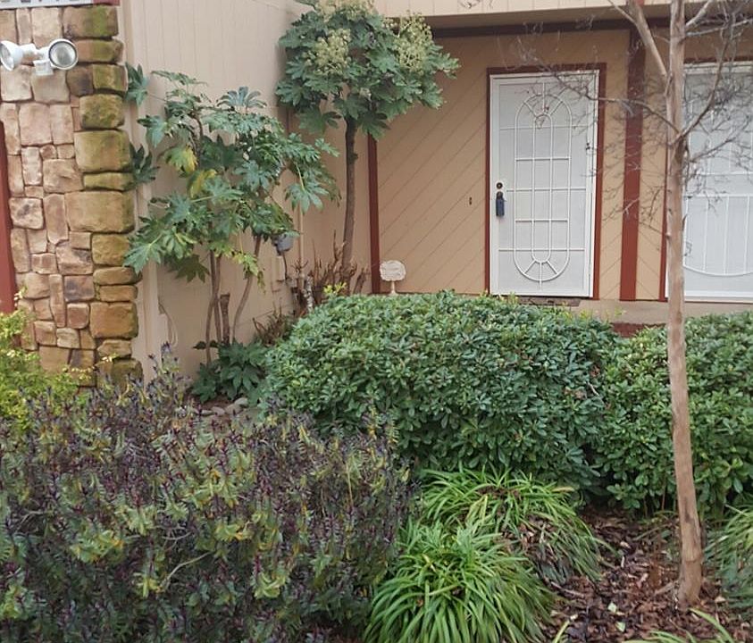 2nd image of 2792 Cactus Ct
