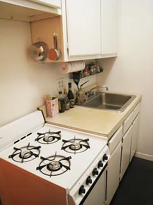 Rented by Eric Goodman Realty Corp | media 28