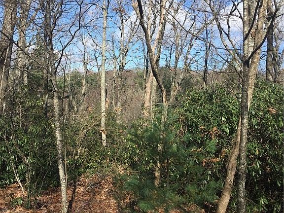 4th image of Lot 2 Green Hill Woods Drive