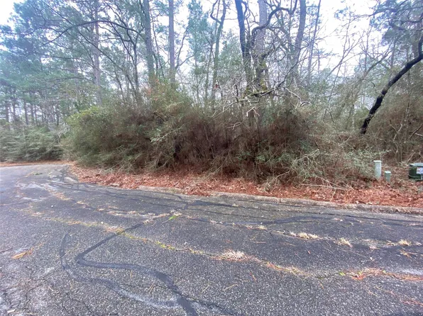 28605 Beechnut Ct, Huntsville, TX 77320