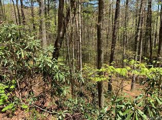 248 W Christy Trl, Sapphire, NC 28774