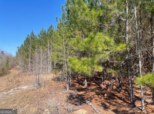 2 Winchester Rd, Sylvania, GA 30467