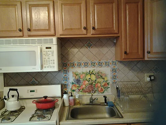 Rented by Ferris Properties Corp. | media 1