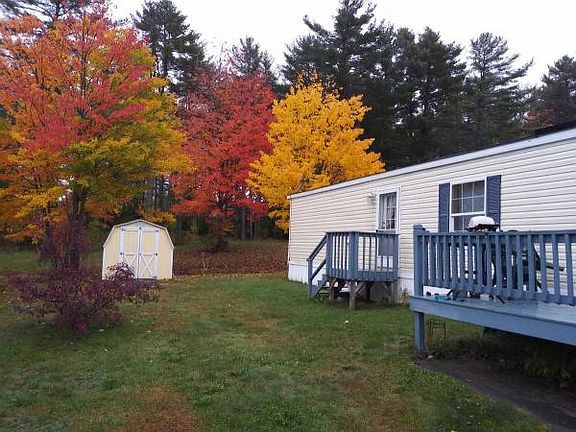 Autumn view w woods behind!
