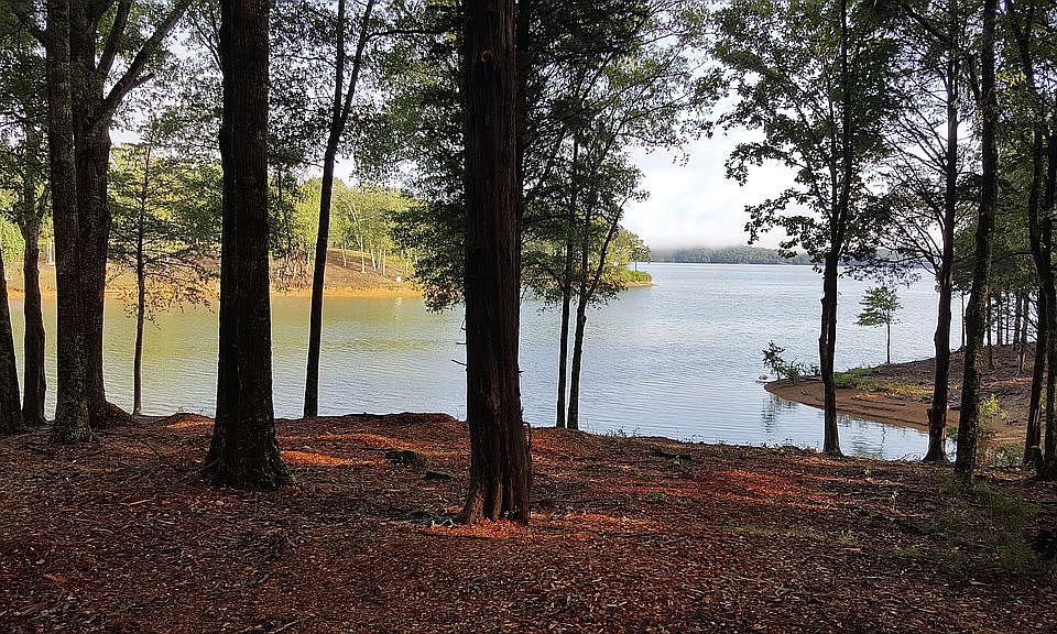 1st image of Waterside On Douglas Lake 124