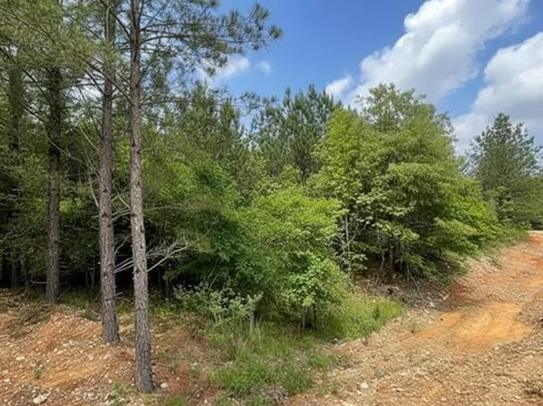 668 Timber Creek Trl, Broken Bow, OK 74728