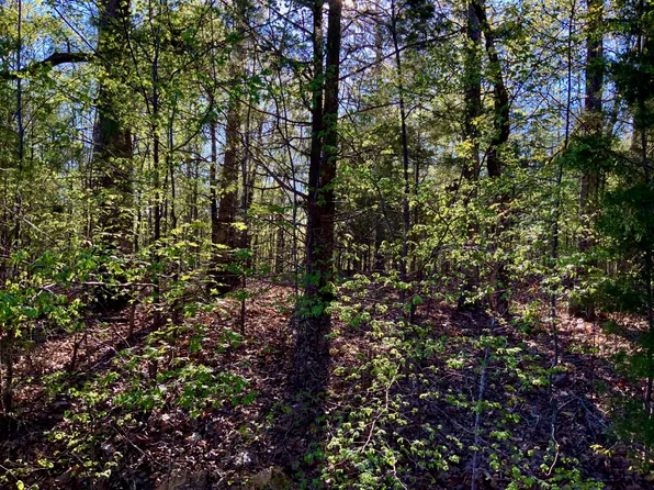0 Pleasant Hill Rd Lot 1, Dover, TN 37058