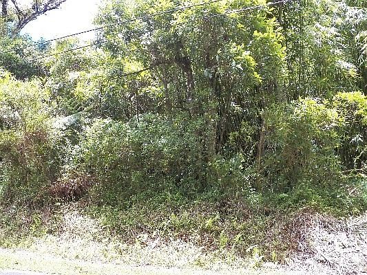 4th image of Malama St Lot 39