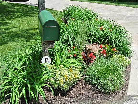 Landscaping