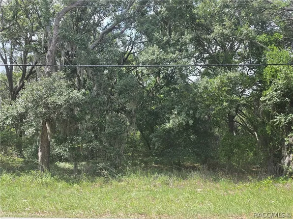135 W Pearson St, Hernando, FL 34442