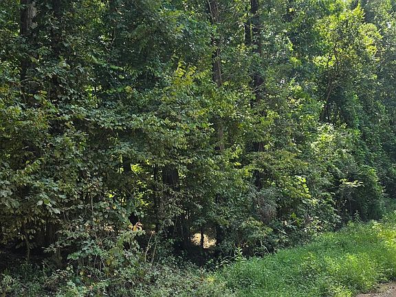 4th image of 0 County Road 724