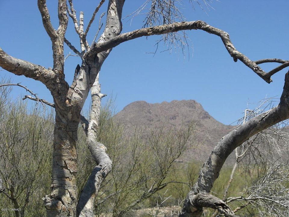 1st image of 4528 W Butterfly Mountain Dr