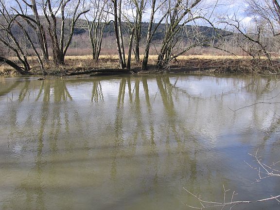 4th image of 5087 County Road 32