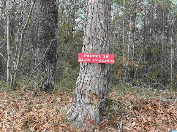 1517 Union Grove Rd #1, Adamsville, AL 35005