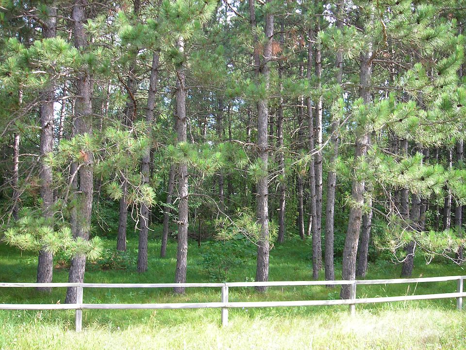 2nd image of Big Buck Drive