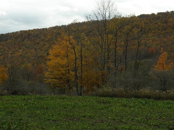 3rd image of Gregory Hollow Rd #1