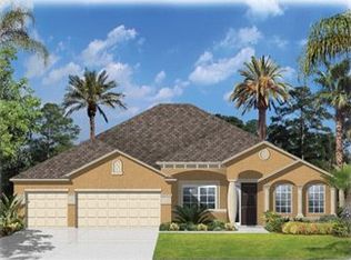 15334 Azra Dr, Odessa, FL 33556