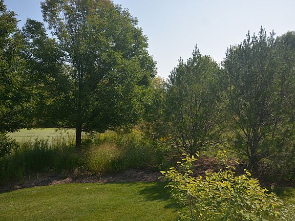 3rd image of 612 Dunhill Dr
