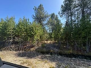 3rd image of 21 Grand Fir
