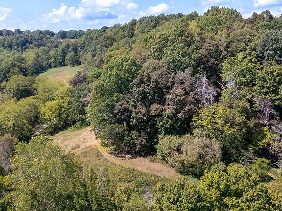 4th image of 384 Big Spring Hollow Rd