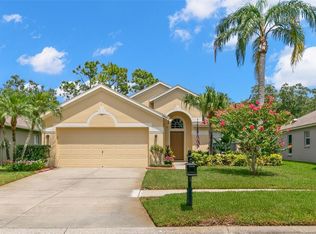 9980 Stockbridge Dr, Tampa, FL 33626